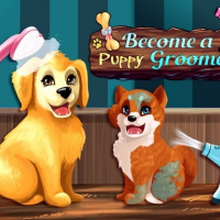 Become a Puppy Groomer