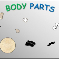 Bodyparts