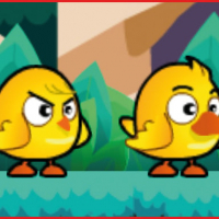 Chicken And Duck Brothers