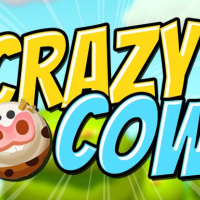 Crazy Cow