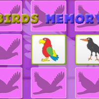 Kids Memory Game - Birds