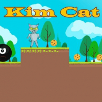 Kim Cat Game