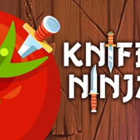 Knife Shadow Ninja 