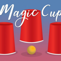 Magic Cup