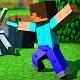 Minecraft Block Craft