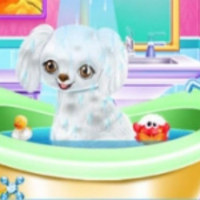 My New Poodle Friend - Pet Care Game