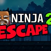 Ninja Escape 2