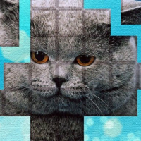 PicPu - Cat Puzzle