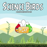 Science Birds