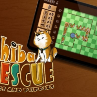 Shiba Rescue : Dogs and Puppies