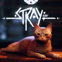 Stray