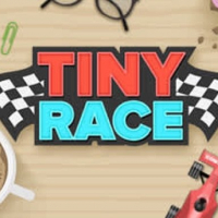 Tiny Race - Toy Car Racing