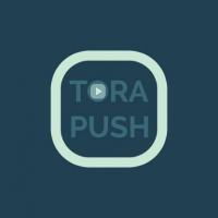 TORA PUSHhttps://uncached.gamemonetize.com/bb2n0jn