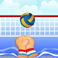 Volley ball