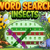 Word Search Insects